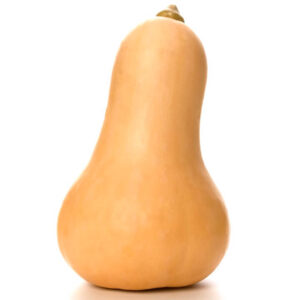 Butternut