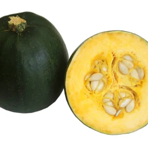 Gem Squash